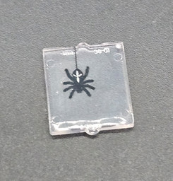 Kleine Kunststoffbox mit Spinnenbild Picture of Spinne Fenster mini 1x2x2